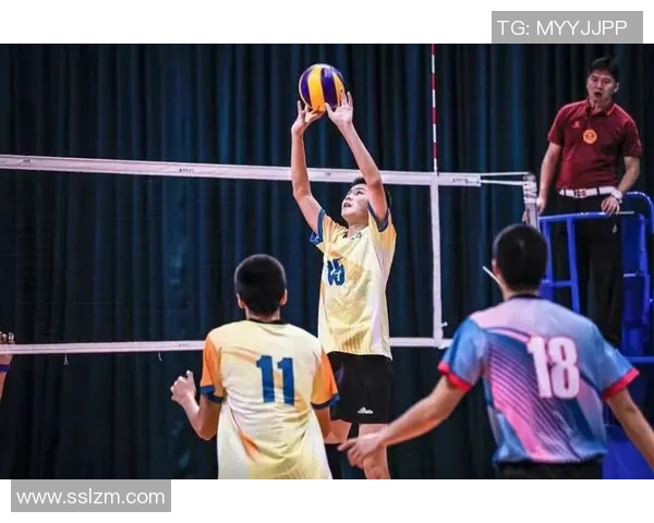 深圳排球队的崛起之路全运会背后的奋斗与荣耀故事